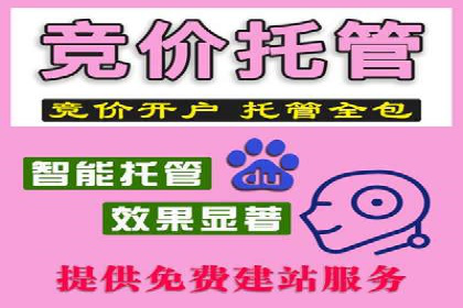 SEM竞价托管代运营助力转化率提升